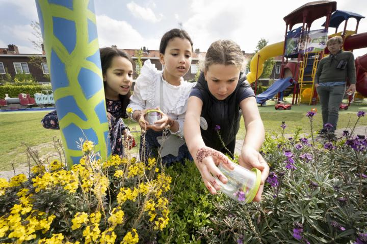 Bijen zoeken in de buurt