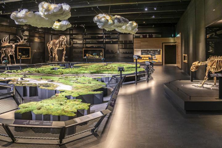 Zaal De IJstijd door Koen Mol