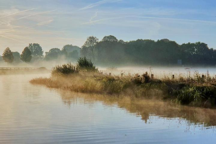 Nederlands landschap