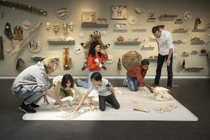 Workshop Ontdek Naturalis