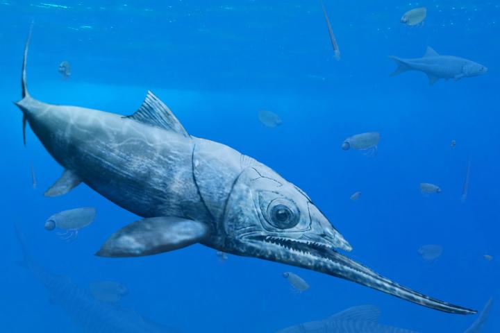 Artist impression of Alienacanthus