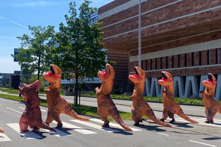 Zeven opblaasdino's op het zebrapad bij Naturalis