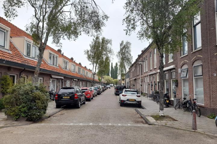 Met berken beplante 'Os en Paardenlaan', een voorbeeld van een straat met sterk allergene bomen (credit: Naturalis)