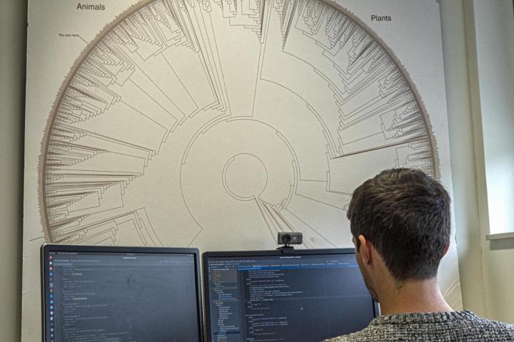Scientists works on a computer in front of an image of a evolution tree