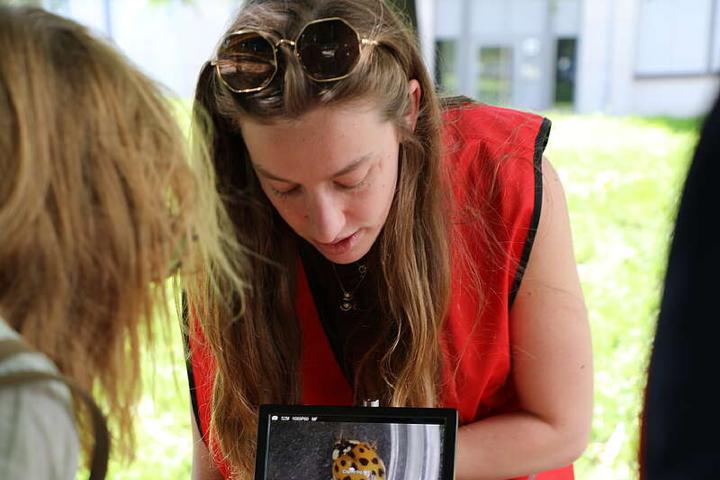 Junior Projectleider Fem Vincken tijdens de Langer Tag der Stadtnatur; ze laat bezoekers een lieveheersbeestje onder een kleine microscoop met een display zien © Stiftung Naturschutz Berlin / Christina Koormann