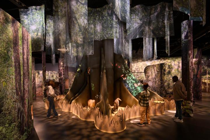 Het bos van Suriname / foto: Mike Bink fotografie