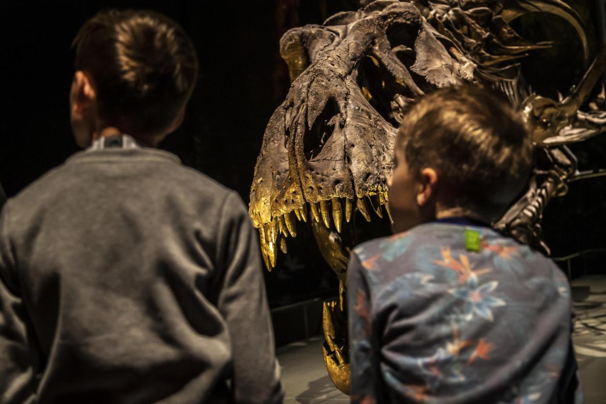 Boys in front of T. rex