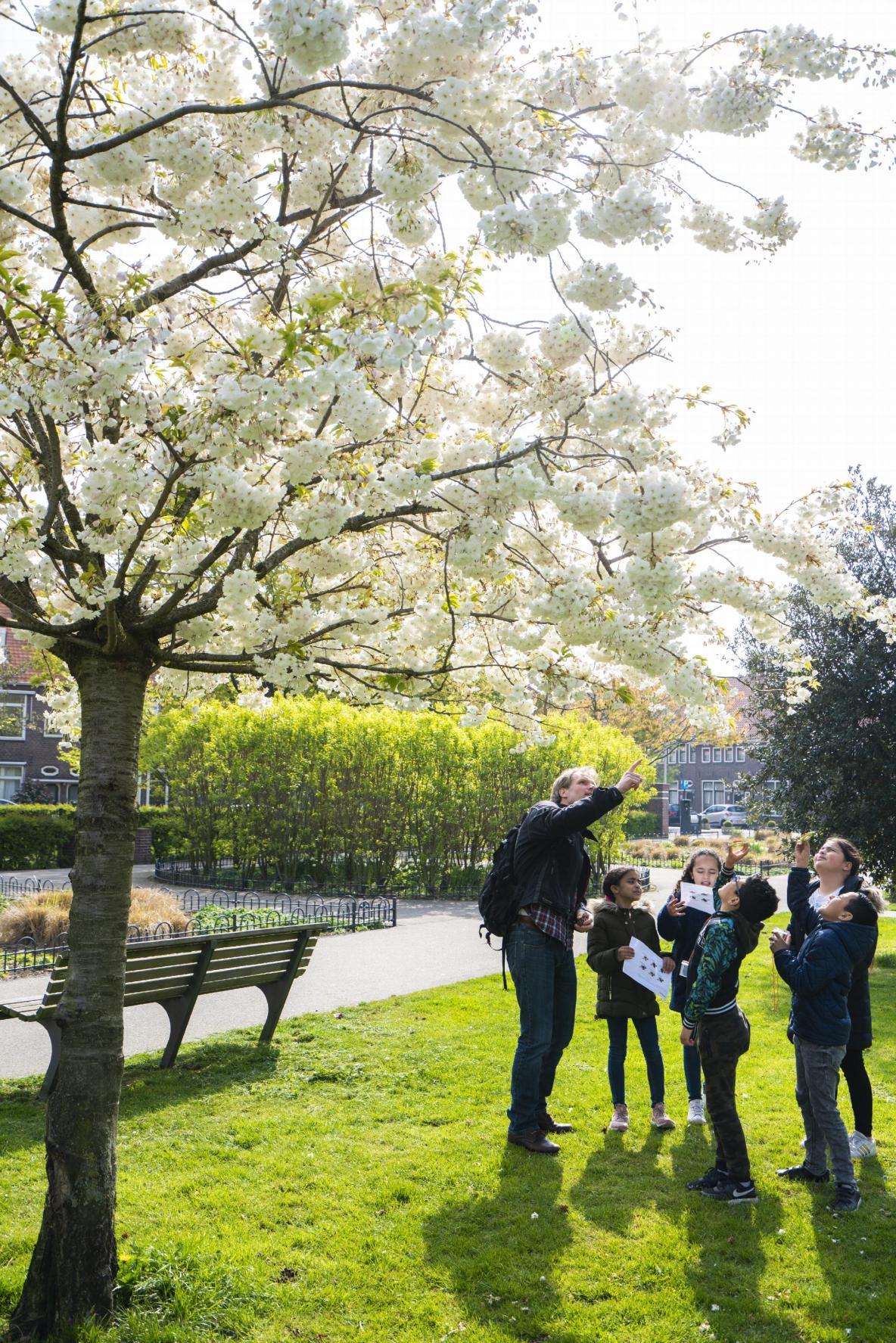 Kinderen en leraar zoeken naar bijen
