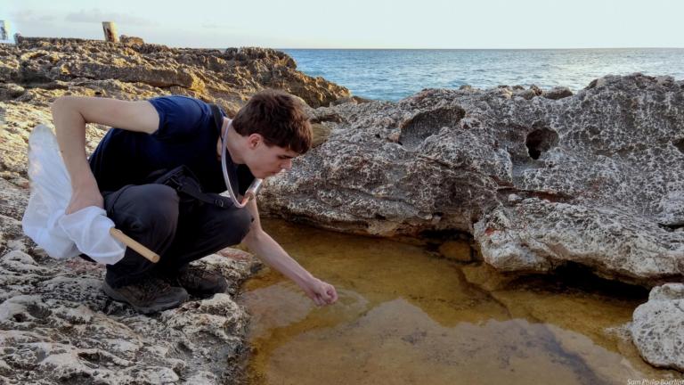 profielfoto Jordy van der Beek