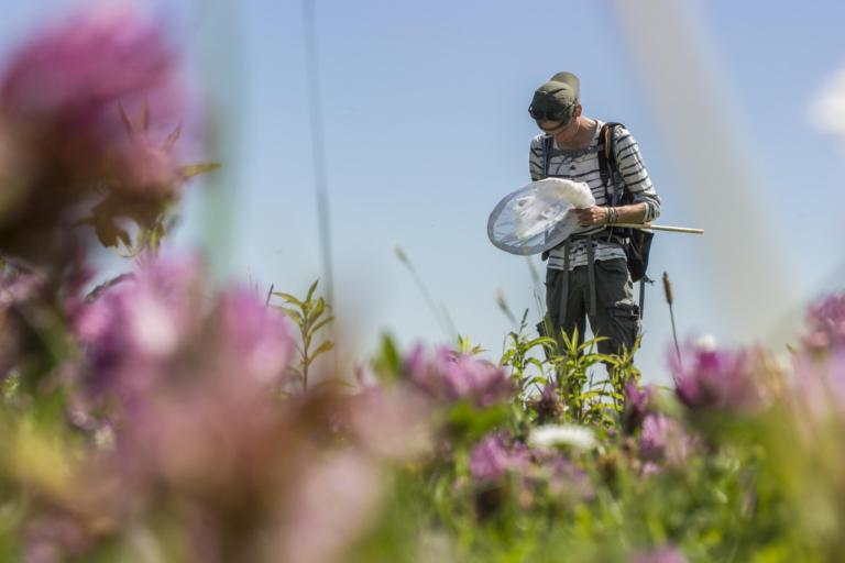 Bioloog tussen de bloemen