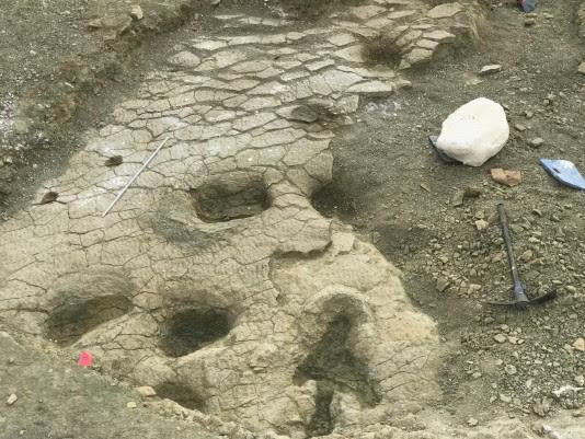 Dinosaurus voetsporen