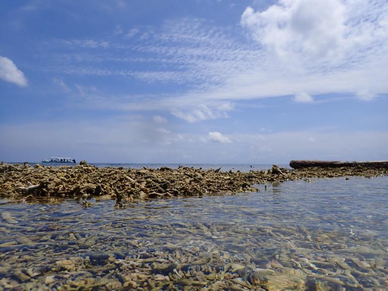 shingle rampart lumulumu