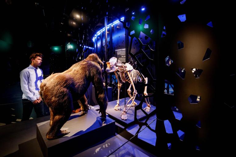 De dood icoon gorilla