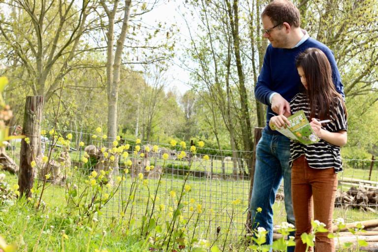 Nationale Bijentelling 2020