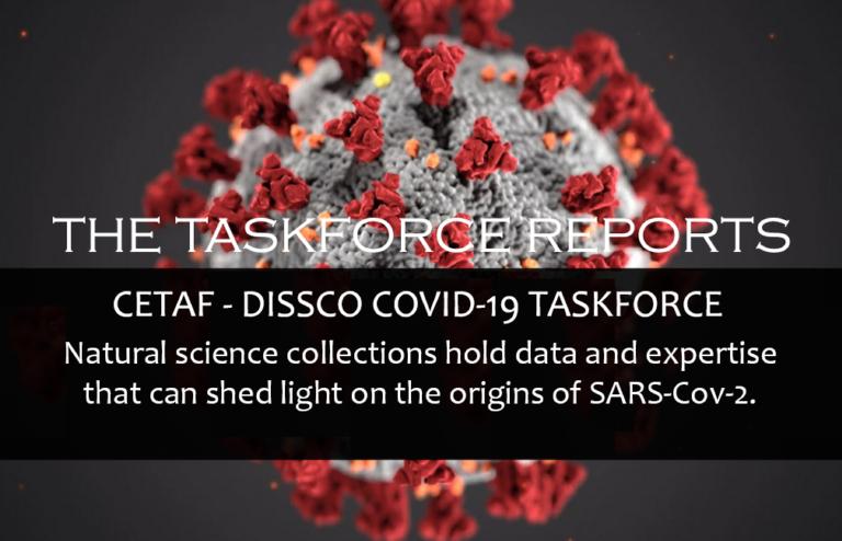 The Covid-19 Taskforce Reports
