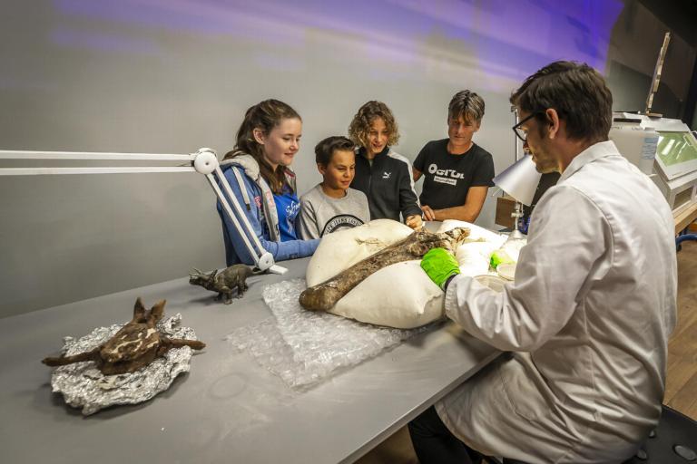 Dinolab in LiveScience