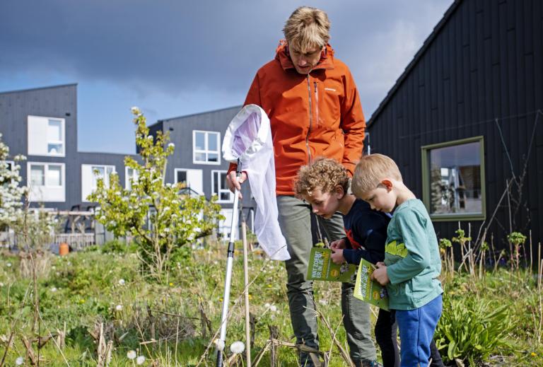Iedereen kan bijen tellen! De Bijentelling helpt jong en oud om verschillende soorten bijen te onderscheiden. Credit: Naturalis Biodiversity Center.