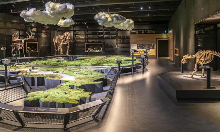 Zaal De IJstijd door Koen Mol