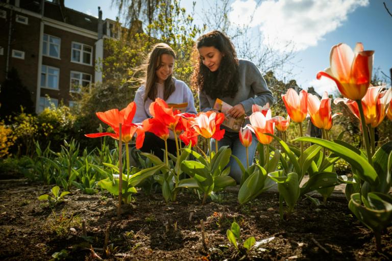 Meiden tellen bijen aan de hand van het telformulier
