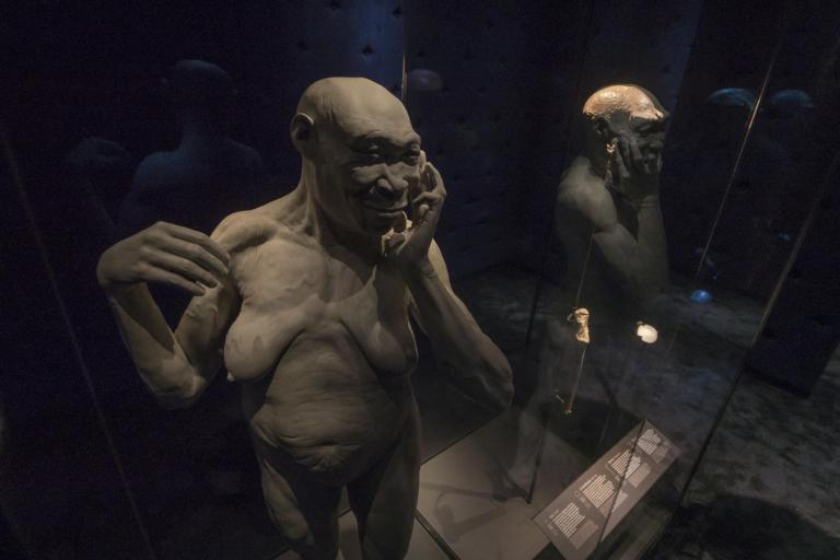 The three Homo erectus fossils, next to an artist impression of the species