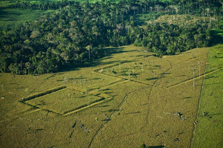 Geoglyphs in the Amazon