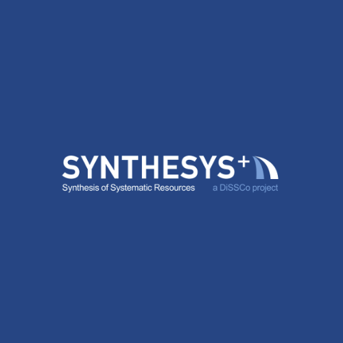 Synthesys