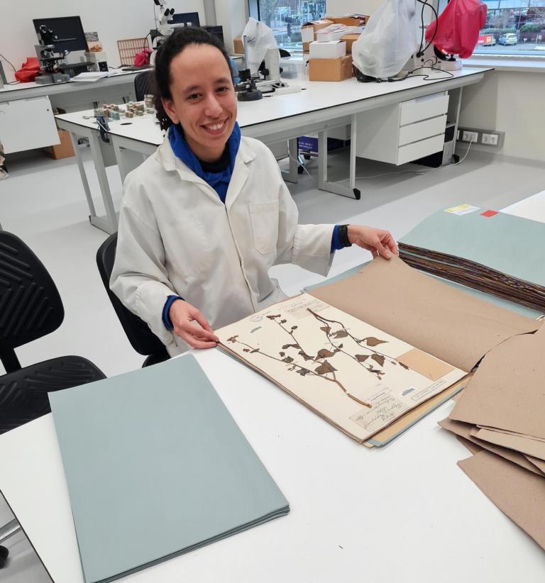 Robin werkt aan de botanie collectie