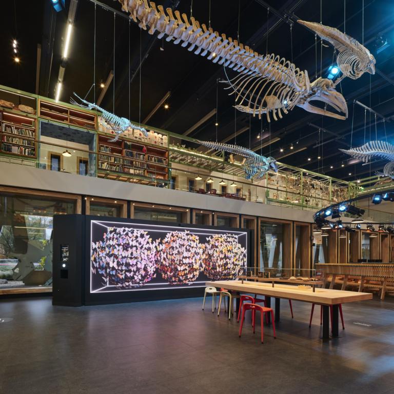 Origins of Imagination in de zaal LiveScience