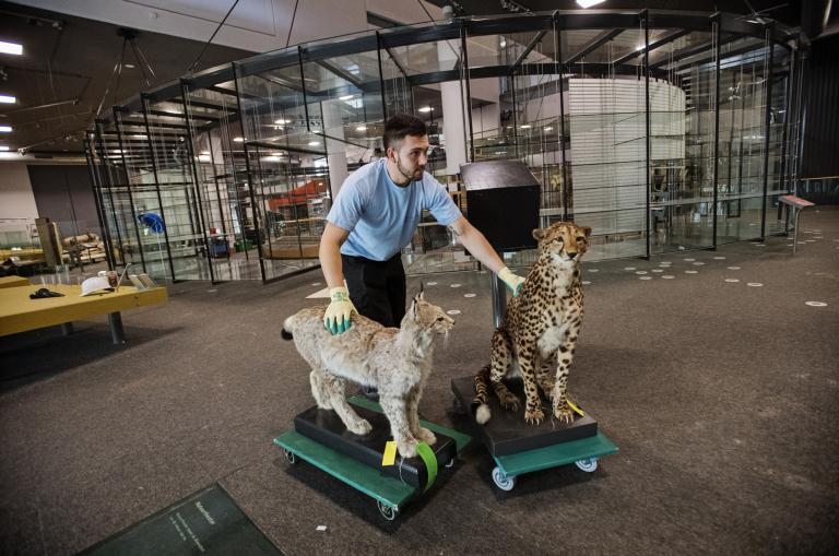 Verhuizing collectie uit museum