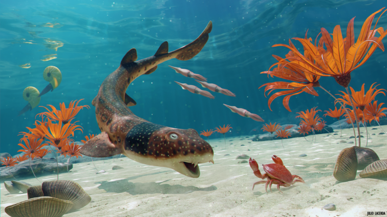 Picture of the fossil of Eriptychius americanus